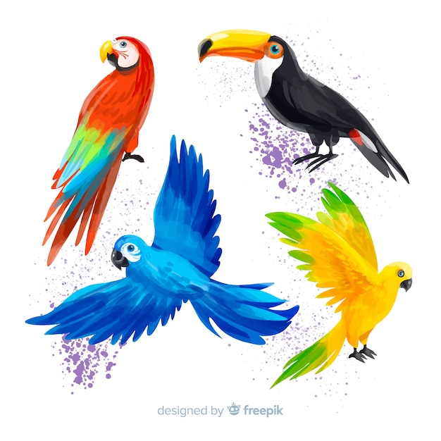 Watercolor style exotic birds collection