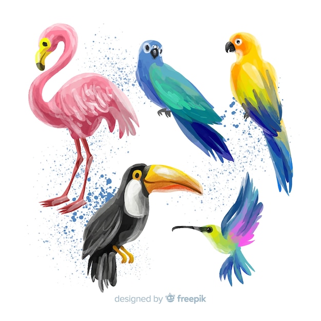 Vector watercolor style exotic birds collection