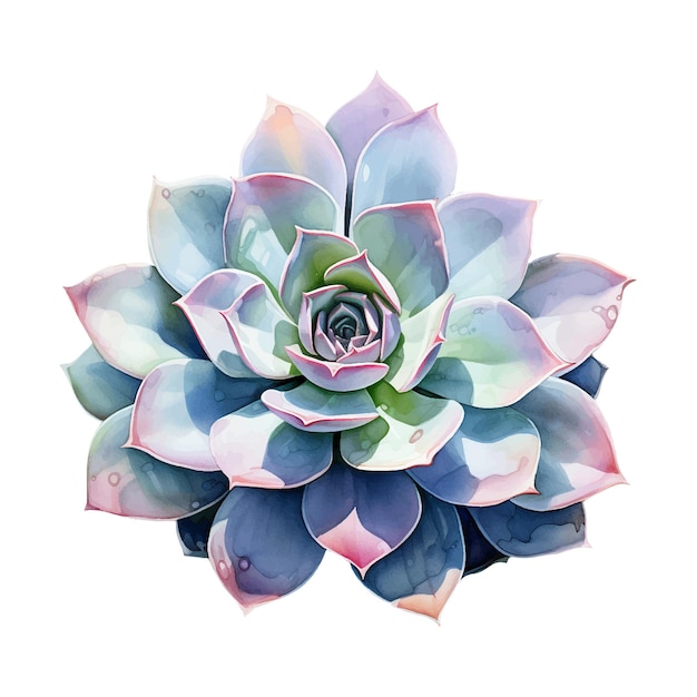 Vector watercolor succulent plant colourful tropical flower isolated on white generative ai