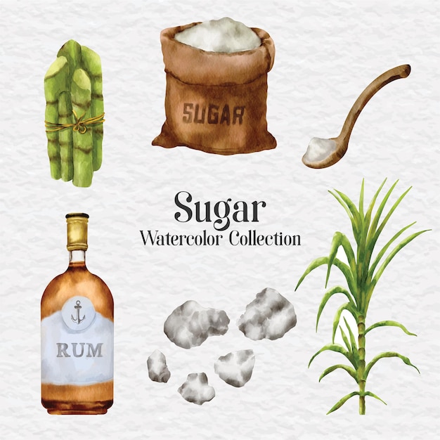 Illustrazione di clip art di zucchero e canna da zucchero dell'acquerello