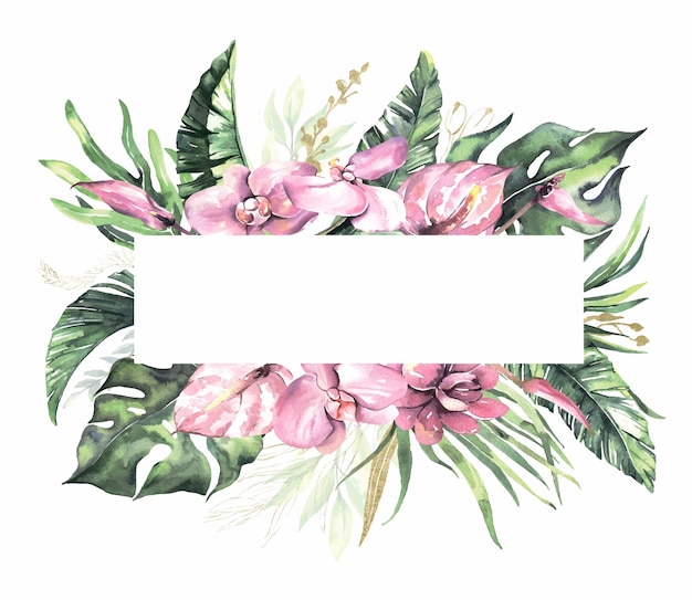 Vector watercolor summer floral frames