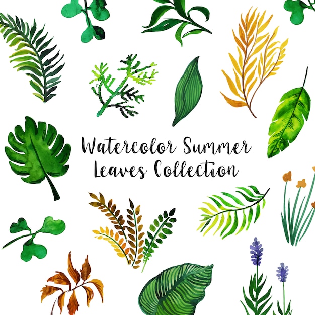 Watercolor Summer Leaves Collection Background