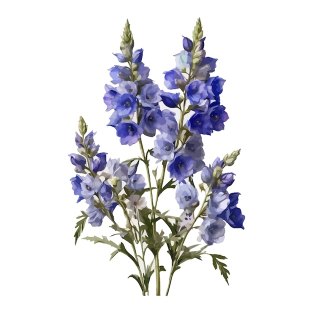 Vector watercolor summer night delphinium clipart editable white background