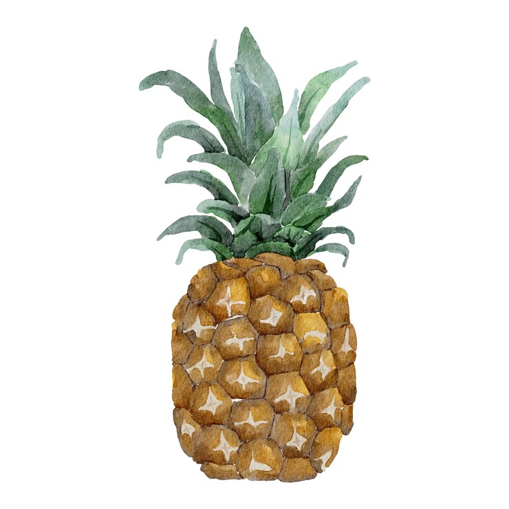 Vector watercolor summer pineapple fruit vector