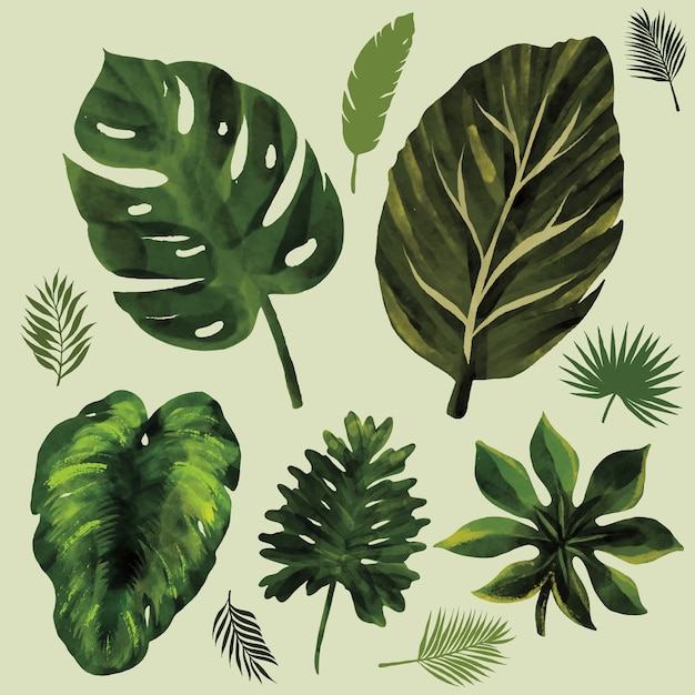 Watercolor Summer Tropical Leaves Background