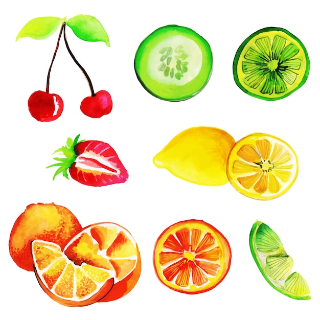 Watercolor Summner Fruits Collection