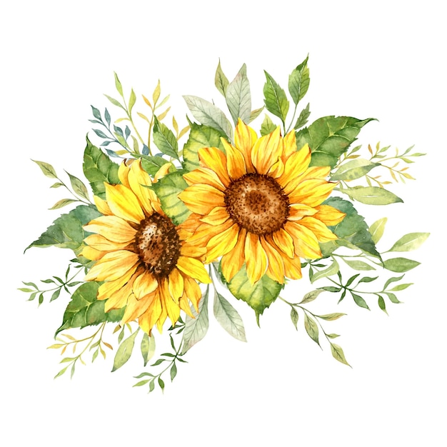 Vector watercolor sunflowers bouquet, sunflower arrangement