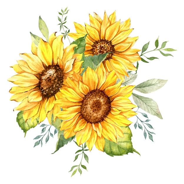 Mazzo di girasoli dell'acquerello, disposizione del girasole