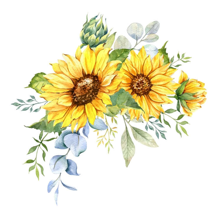 Vector watercolor sunflowers bouquet with greenery, hand painted sunflowers