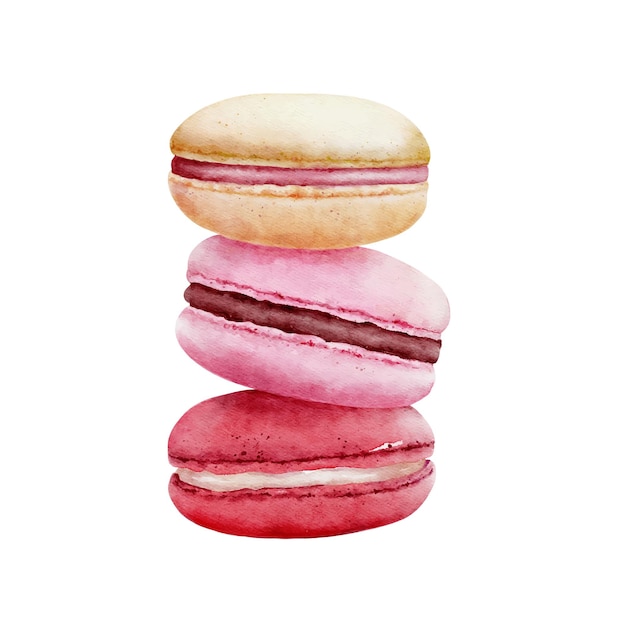 Vector watercolor sweet and cute colorful macarons dessert valentines day concept