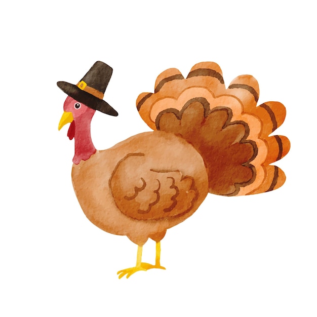 Watercolor thanksgiving turkey Cute turkey in pilgrim hat