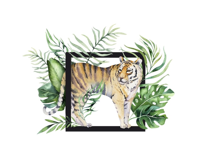 Watercolor tiger illustration and summer paradise tropical leaves print Palm plant and flower isolated o white