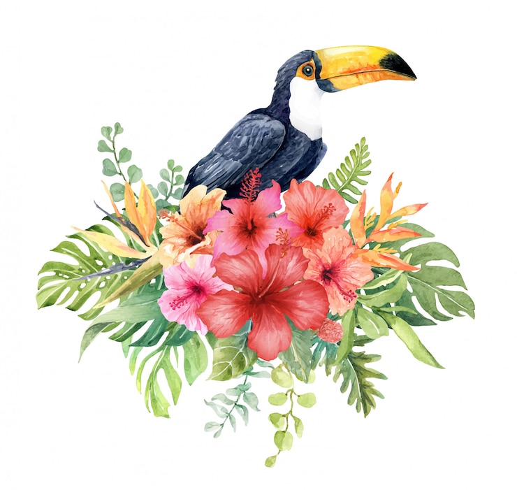 Vector watercolor toucan in hibiscus flower bouquet