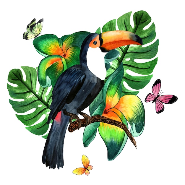 Watercolor toucan illustration