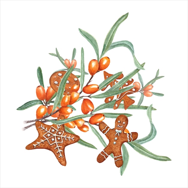 Vector watercolor traditional christmas gingerbread cookies with sea buckthorn gingerbread man star