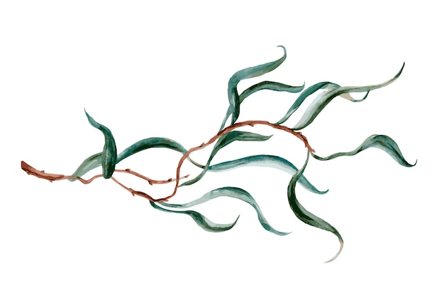 Watercolor tree branch