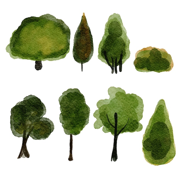 Vector watercolor tree and bushes