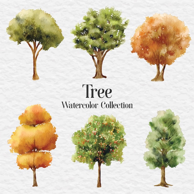 Watercolor tree clip art illustration