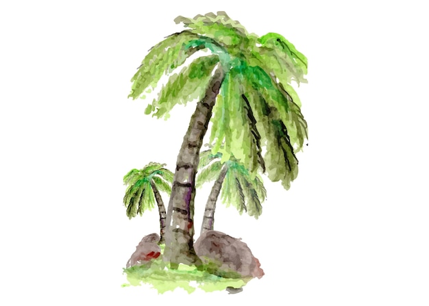 Vector watercolor tree coconut