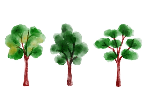 Watercolor Tree Element