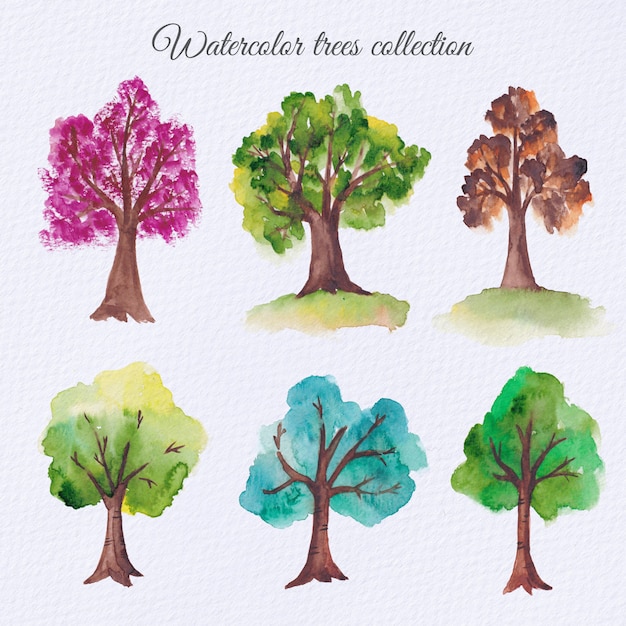 Watercolor trees set