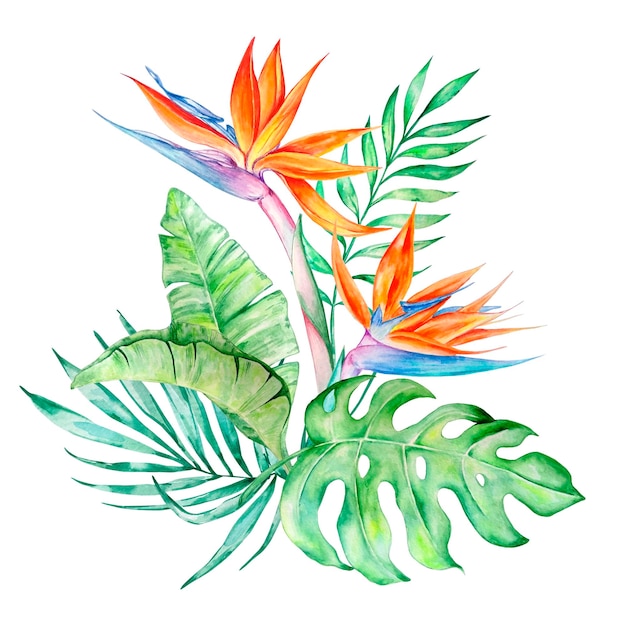 Watercolor tropical bouquet of hibiscus leaves