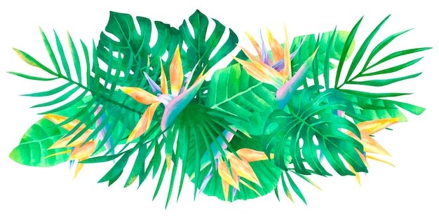 Vector watercolor tropical composition strelitzia flowers palm leaf and monstera bouquet exotic arrangement