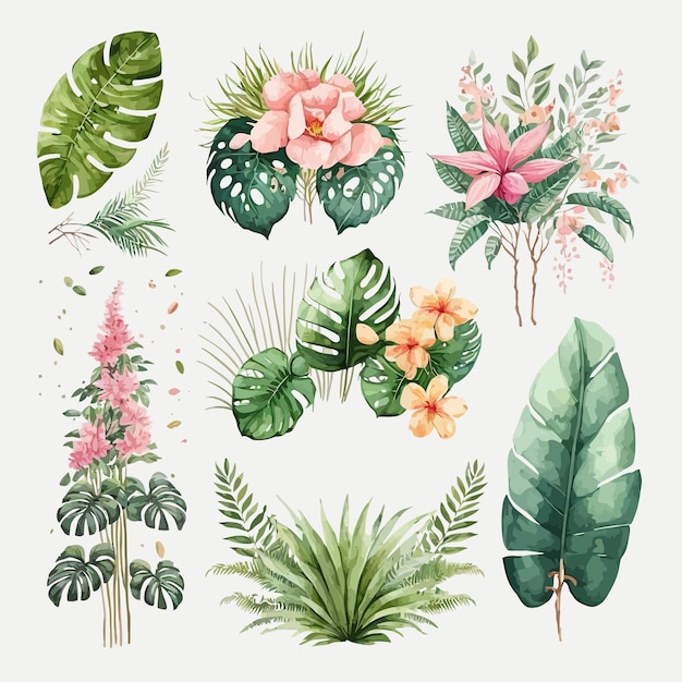 Watercolor tropical floral illustration set with green leaves and blush flowers Decorative elements template Flat cartoon illustration isolated on white background