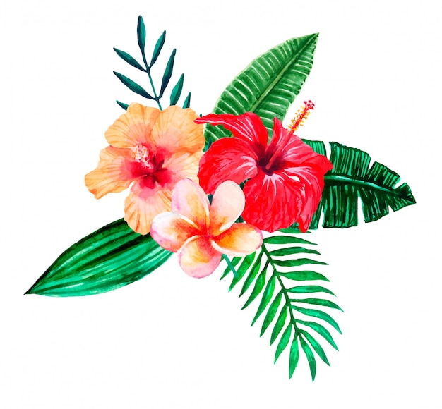 Watercolor  tropical flowers buquet