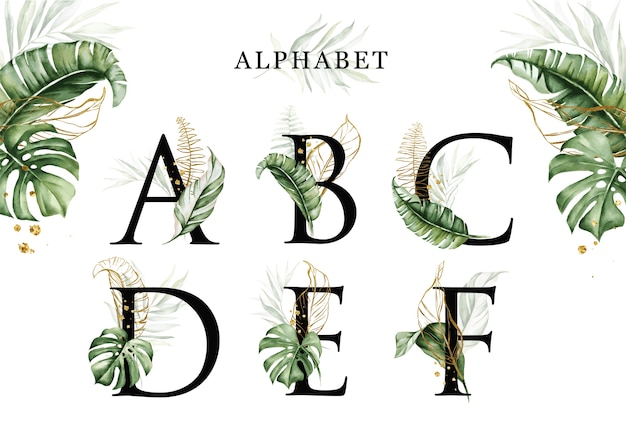 벡터 황금 잎 abcdef의 수채화 열대 잎 알파벳 세트