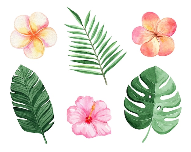 Vector watercolor tropical leaves and flowers set isolated on white