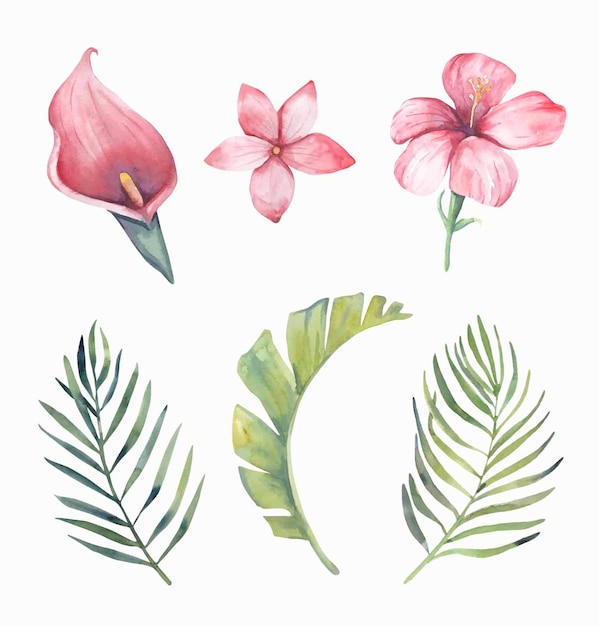 Vector watercolor tropical leaves and flowers.