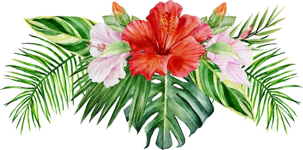 Vector watercolor tropical