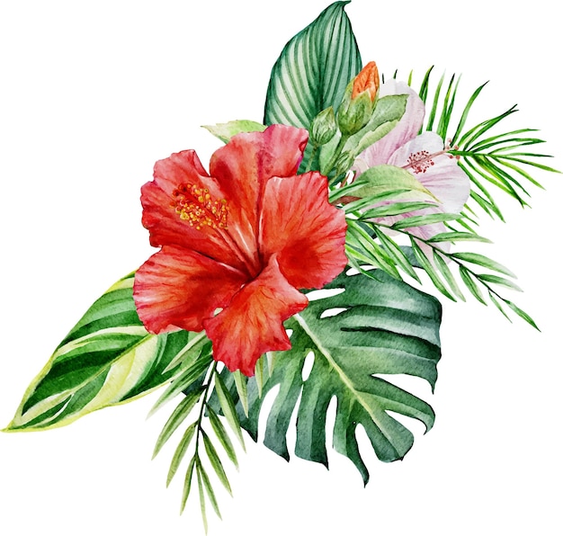 Vector watercolor tropical