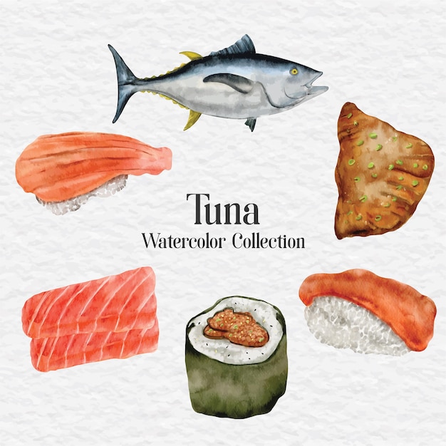 Watercolor tuna meat clip art illustration