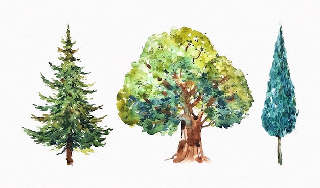 Watercolor type of trees set