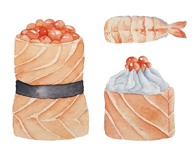 白い背景にサーモンの側面図と水彩裏巻き寿司とロール
