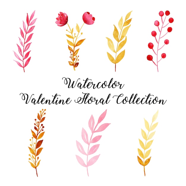 Watercolor Valentine Floral Collection