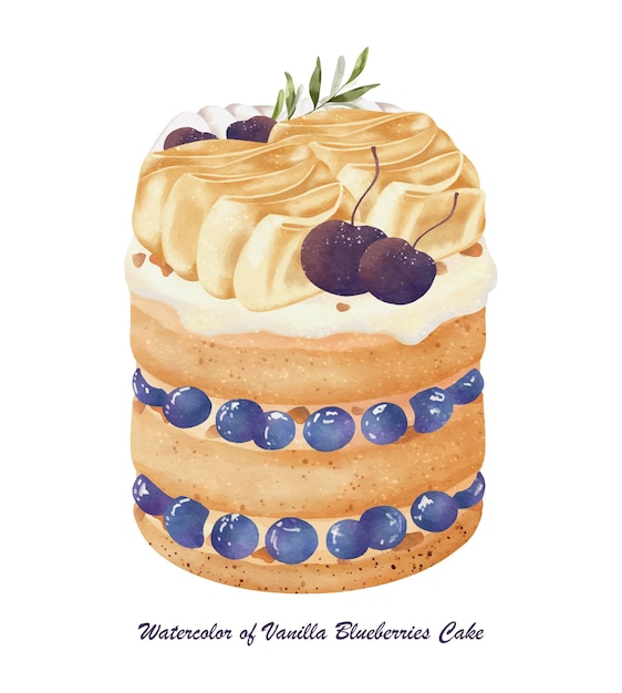 Watercolor of vanilla blueberries cake vector on white background design