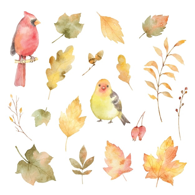 Watercolor vector autumn set of leaves and birds isolated on white background