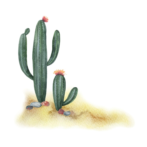 Watercolor vector background with desert and cacti