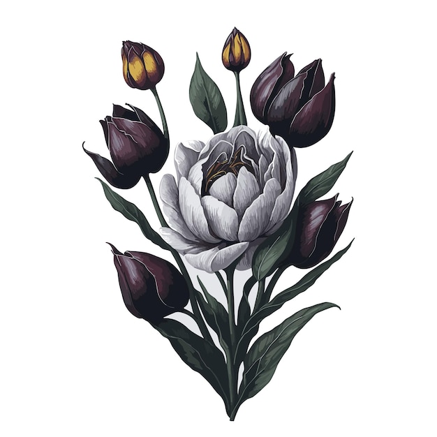 Vector watercolor vector black magnolia tulip flower clipart editable white background
