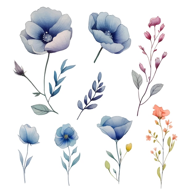 watercolor vector botanical illustrations clipart set