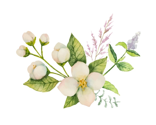 白い背景で隔離のジャスミンとミントの枝の水彩ベクトル花束