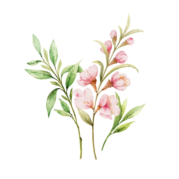 Watercolor vector bouquet of pink flowers and almond leaves