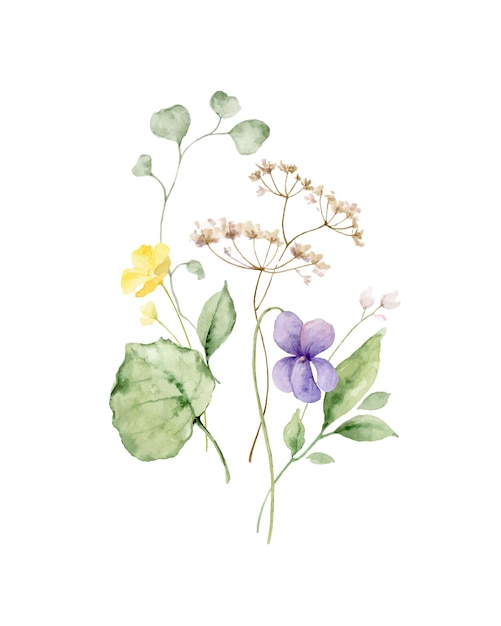 Watercolor vector bouquet of with wildflower flowers and leaves