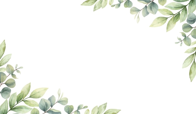 Vector watercolor vector card of green branches and leaves