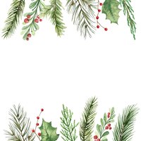 Watercolor vector card with spruce branches and green leaves