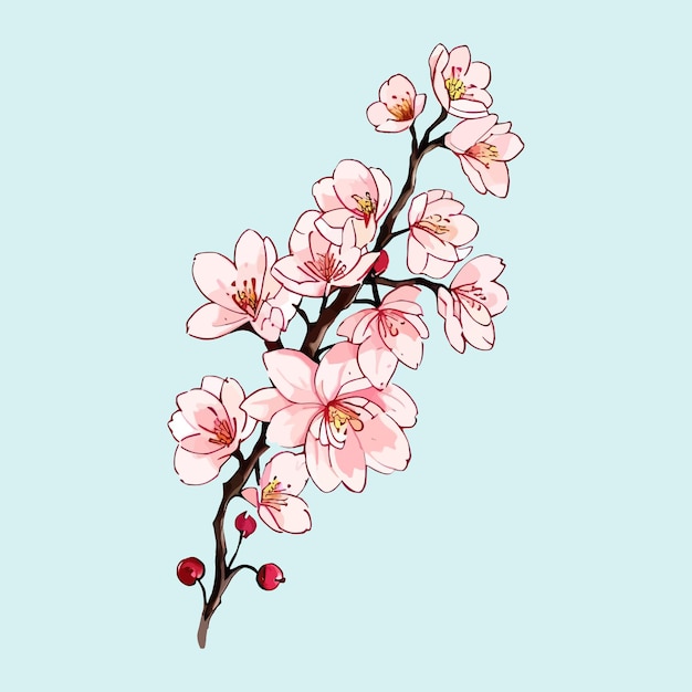 Watercolor vector Cherry blossoms Sakura Flower Pink Flower Red Flower collection
