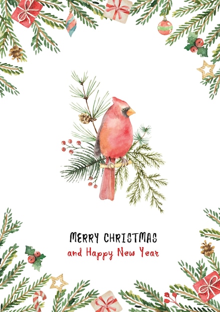 Watercolor vector Christmas a card with the cardinal bird and fir branches